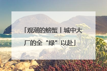观潮的螃蟹丨城中大厂的全“绿”以赴