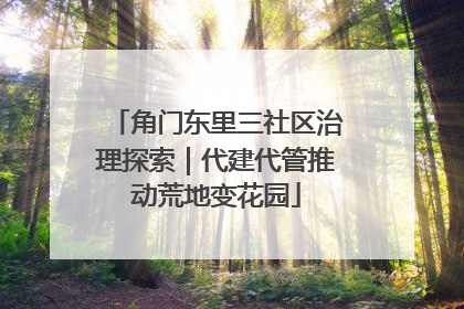 角门东里三社区治理探索｜代建代管推动荒地变花园