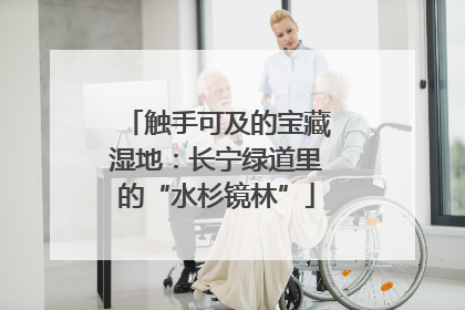 触手可及的宝藏湿地：长宁绿道里的“水杉镜林”