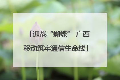 迎战“蝴蝶” 广西移动筑牢通信生命线