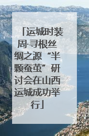 运城时装周·寻根丝绸之源“半颗蚕茧”研讨会在山西运城成功举行