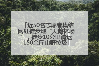 近50名志愿者集结网红徒步地“天鹅林场”，徒步10公里清运150余斤山野垃圾