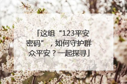 这组“123平安密码”，如何守护群众平安？一起探寻