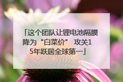 这个团队让锂电池隔膜降为“白菜价” 攻关15年跃居全球第一