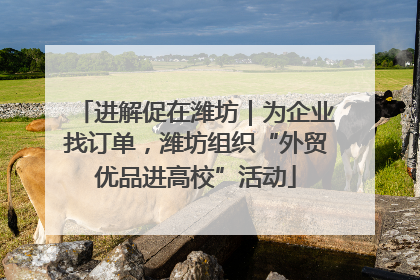 进解促在潍坊｜为企业找订单，潍坊组织“外贸优品进高校”活动