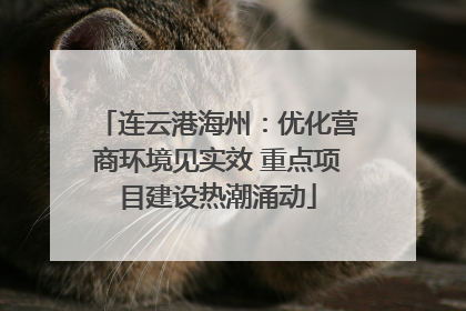 连云港海州：优化营商环境见实效 重点项目建设热潮涌动