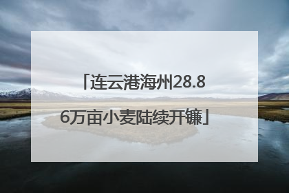 连云港海州28.86万亩小麦陆续开镰