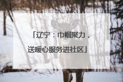 辽宁：巾帼聚力，送暖心服务进社区
