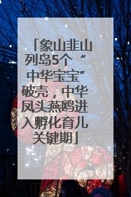 象山韭山列岛5个“中华宝宝”破壳，中华凤头燕鸥进入孵化育儿关键期