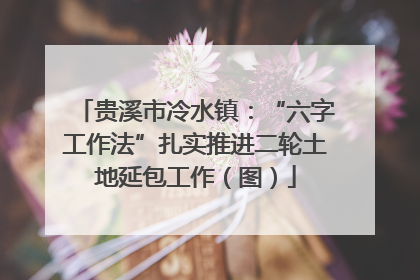 贵溪市冷水镇：“六字工作法”扎实推进二轮土地延包工作（图）