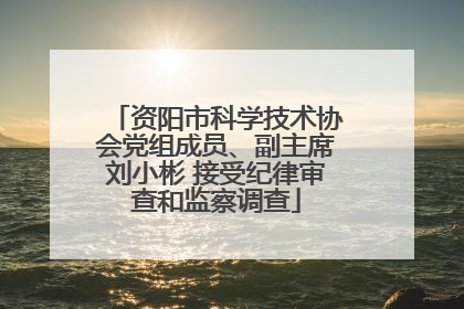 资阳市科学技术协会党组成员、副主席刘小彬 接受纪律审查和监察调查