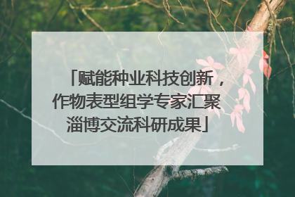 赋能种业科技创新，作物表型组学专家汇聚淄博交流科研成果