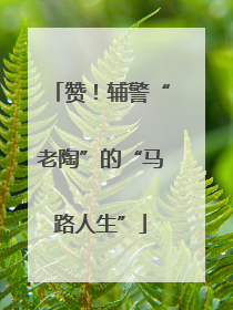 赞！辅警“老陶”的“马路人生”