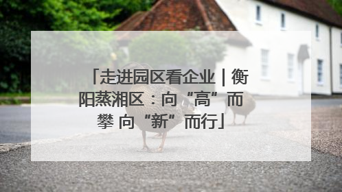 走进园区看企业｜衡阳蒸湘区：向“高”而攀 向“新”而行