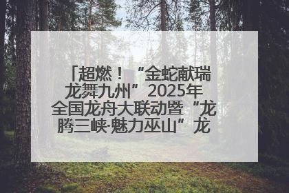 超燃！“金蛇献瑞 龙舞九州”2025年全国龙舟大联动暨“龙腾三峡·魅力巫山”龙舟邀请赛圆满落幕！