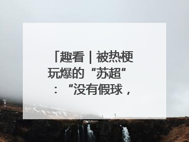 趣看｜被热梗玩爆的“苏超”：“没有假球，全是世仇”