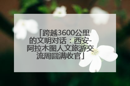 跨越3600公里的文明对话：西安-阿拉木图人文旅游交流周圆满收官