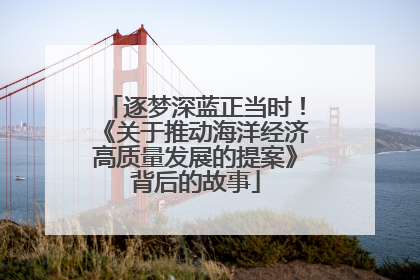 逐梦深蓝正当时！《关于推动海洋经济高质量发展的提案》背后的故事