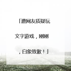 遭网友质疑玩文字游戏，刚刚，白象致歉！