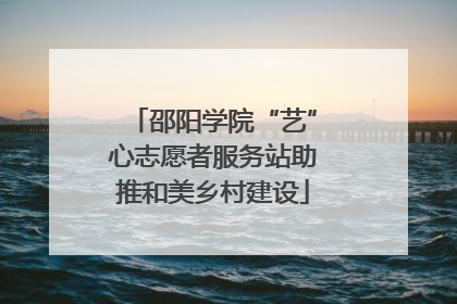 邵阳学院“艺”心志愿者服务站助推和美乡村建设