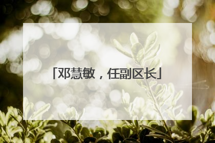 邓慧敏，任副区长
