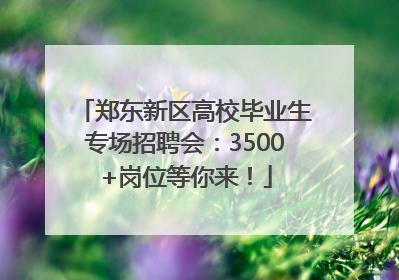 郑东新区高校毕业生专场招聘会：3500+岗位等你来！