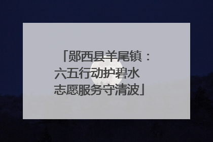 郧西县羊尾镇：六五行动护碧水 志愿服务守清波