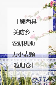 郧西县关防乡：农耕机助力小麦颗粒归仓
