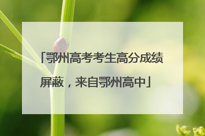 鄂州高考考生高分成绩屏蔽，来自鄂州高中