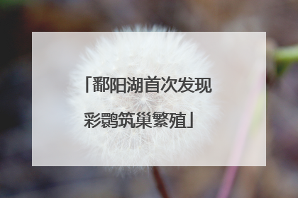 鄱阳湖首次发现彩鹮筑巢繁殖