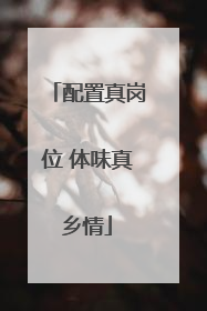 配置真岗位 体味真乡情