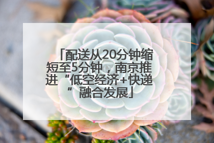 配送从20分钟缩短至5分钟，南京推进“低空经济+快递”融合发展
