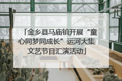 金乡县马庙镇开展“童心同梦同成长”运河大集文艺节目汇演活动