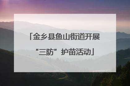 金乡县鱼山街道开展“三防”护苗活动