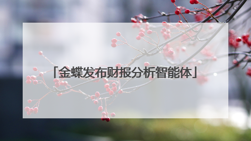 金蝶发布财报分析智能体