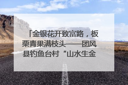 金银花开致富路，板栗青果满枝头——团风县钓鱼台村“山水生金”谱写共富新篇章
