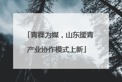 青稞为媒，山东援青产业协作模式上新