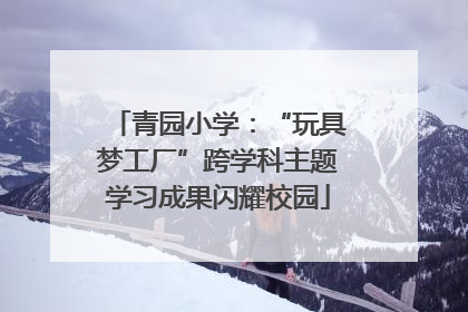 青园小学：“玩具梦工厂”跨学科主题学习成果闪耀校园