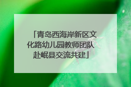 青岛西海岸新区文化路幼儿园教师团队赴岷县交流共建
