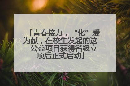 青春接力，“化”爱为献，在校生发起的这一公益项目获得省级立项后正式启动