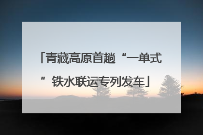 青藏高原首趟“一单式”铁水联运专列发车