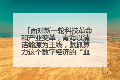 面对新一轮科技革命和产业变革，青海以清洁能源为主线，紧抓算力这个数字经济的“血液”、科技主权的“筹码”、产业升级的“杠杆”、绿色转型的“支点”，勇于撬动国家“双碳”战略、“东数西算”工程重大发展新机遇