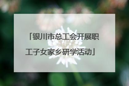 银川市总工会开展职工子女家乡研学活动