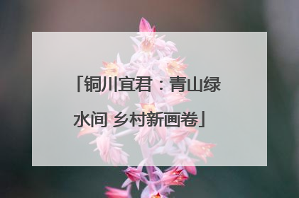 铜川宜君：青山绿水间 乡村新画卷