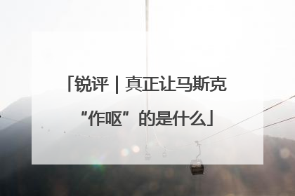 锐评｜真正让马斯克“作呕”的是什么