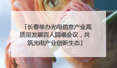 长春举办光电信息产业高质量发展百人圆桌会议，共筑光电产业创新生态