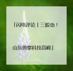 闪电评论丨三股劲！山东勇攀科技高峰