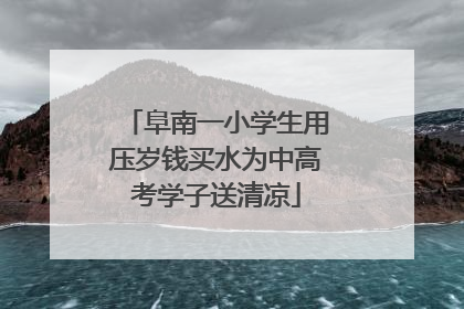阜南一小学生用压岁钱买水为中高考学子送清凉