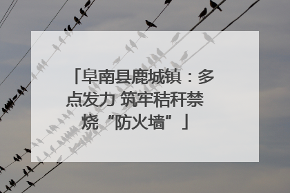阜南县鹿城镇：多点发力 筑牢秸秆禁烧“防火墙”