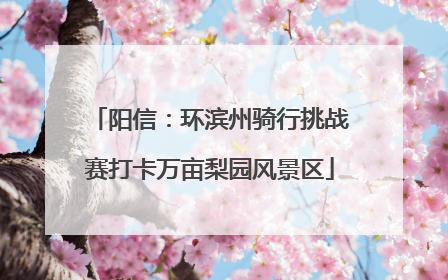 阳信：环滨州骑行挑战赛打卡万亩梨园风景区